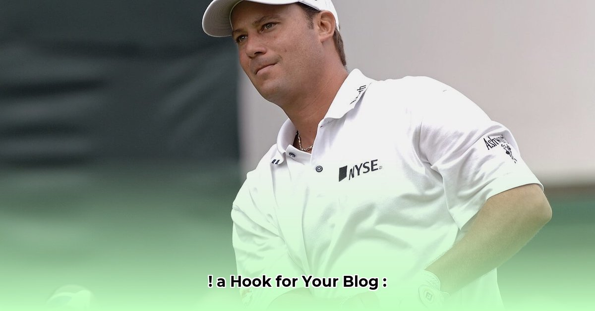 chris-dimarco-net-worth